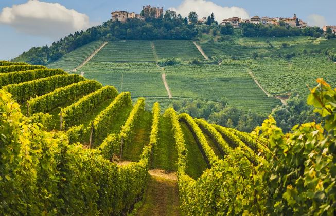 The Best Wine Tourism Destinations